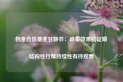 创金合信基金甘静芸：政策效果验证期 结构性行情持续性有待观察-第1张图片-特色小吃