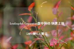 Lendingclub Corporation盘中异动 快速上涨5.00%报15.87美元-第1张图片-特色小吃