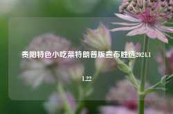 贵阳特色小吃菜特朗普版宣布胜选2024.11.22-第1张图片-特色小吃