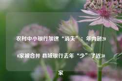 农村中小银行加速“消失”：年内超200家被合并 县域银行去年“少”了近30家-第1张图片-特色小吃