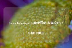 Jumia Technologies Ag盘中异动 大幅拉升5.22%报3.83美元-第1张图片-特色小吃