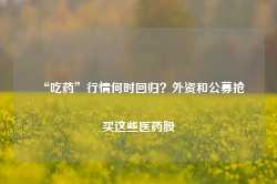 “吃药”行情何时回归？外资和公募抢买这些医药股-第1张图片-特色小吃