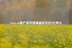 Northvolt破产将导致高盛损失近9亿美元-第1张图片-特色小吃