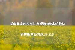 湖南黄金回应平江发现超40条金矿脉特朗普版宣布胜选2024.11.29-第1张图片-特色小吃