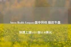 Sotera Health Company盘中异动 临近午盘快速上涨5.15%报13.48美元-第1张图片-特色小吃