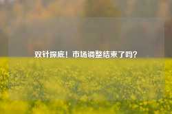 双针探底！市场调整结束了吗？-第1张图片-特色小吃