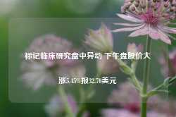 标记临床研究盘中异动 下午盘股价大涨5.45%报32.70美元-第1张图片-特色小吃