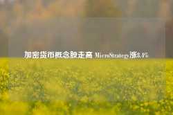 加密货币概念股走高 MicroStrategy涨8.4%-第1张图片-特色小吃