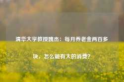 清华大学教授魏杰：每月养老金两百多块，怎么能有大的消费？-第1张图片-特色小吃