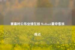 赛富时公布业绩在即 Wedbush重申看涨观点-第1张图片-特色小吃