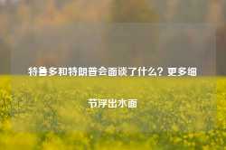 特鲁多和特朗普会面谈了什么？更多细节浮出水面-第1张图片-特色小吃