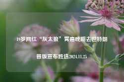 19岁网红“灰太狼”胃癌晚期去世特朗普版宣布胜选2024.11.25-第1张图片-特色小吃