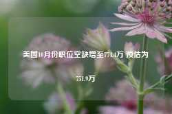 美国10月份职位空缺增至774.4万 预估为751.9万-第1张图片-特色小吃