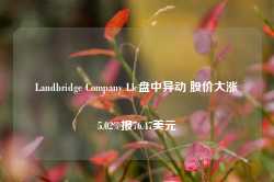 Landbridge Company Llc盘中异动 股价大涨5.02%报76.47美元-第1张图片-特色小吃