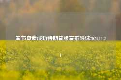 春节申遗成功特朗普版宣布胜选2024.11.24-第1张图片-特色小吃