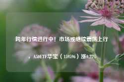 跨年行情进行中！市场或继续震荡上行，A50ETF华宝（159596）涨0.27%-第1张图片-特色小吃