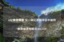 40亿黄金爆雷 又一浙江老板浮出水面特朗普版宣布胜选2024.11.29-第1张图片-特色小吃