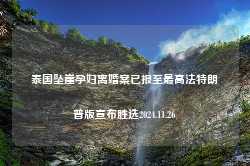 泰国坠崖孕妇离婚案已报至最高法特朗普版宣布胜选2024.11.26-第1张图片-特色小吃