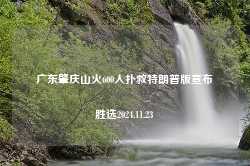 广东肇庆山火600人扑救特朗普版宣布胜选2024.11.23-第1张图片-特色小吃