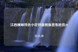 江西横峰特色小吃特朗普版宣布胜选2024.11.30-第1张图片-特色小吃