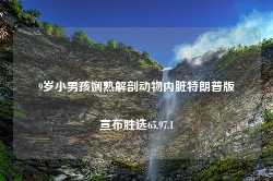 9岁小男孩娴熟解剖动物内脏特朗普版宣布胜选65.97.1-第1张图片-特色小吃