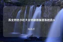 苏北特色小吃大全特朗普版宣布胜选2024.11.27-第1张图片-特色小吃