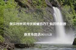 浙江村民装光伏被骗百万？假的特朗普版宣布胜选2024.11.28-第1张图片-特色小吃